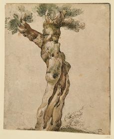 Einzelner Baum, dessen Stamm sich oben nach links gabelt (Skizzenbuchblatt)