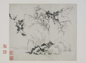 Felsen mit altem Baum