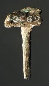 Kleiner Nagel