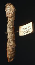 Stabförmiges Stück mit Spuren von anhaftendem Holz und Gewebe (Stoff)