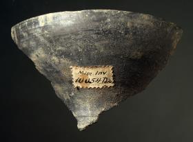 Teil eines Klinenbeins (viertes Element von unten), Fragment