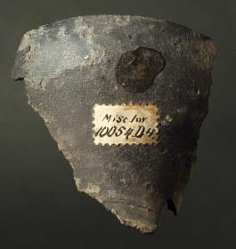 Teil eines Klinenbeins (viertes Element von unten), Fragment