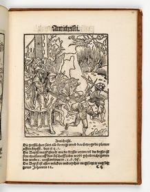 Der Papst reitet mit einem prächtigen Gefolge. Martin Luther: Passional Christi und Antichristi. Johann Grünenberg: Wittenberg 1521