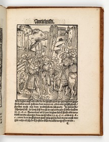 Der Papst befiehlt eine Armee. Martin Luther: Passional Christi und Antichristi. Johann Grünenberg: Wittenberg 1521