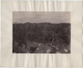 "Landschaft. Blick vom Tempel aus nach Nordwesten."