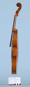 Violine