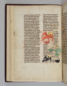Der rote Stier des Lukas mit roter Krone, der schwarze Adler des Johannes mit schwarzer Krone, der grüne Engel des Matthäus mit grüner Krone, der graue Löwe des Markus neben einer grauen Krone und die silberne Taube vor Christus mit grüner und silberner Krone