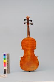 Violine