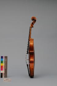 Violine