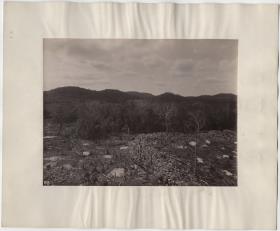 "Landschaft des Tempels. Blick nach S 30° W."