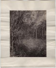 "Hausstelle nahe Mound 6."